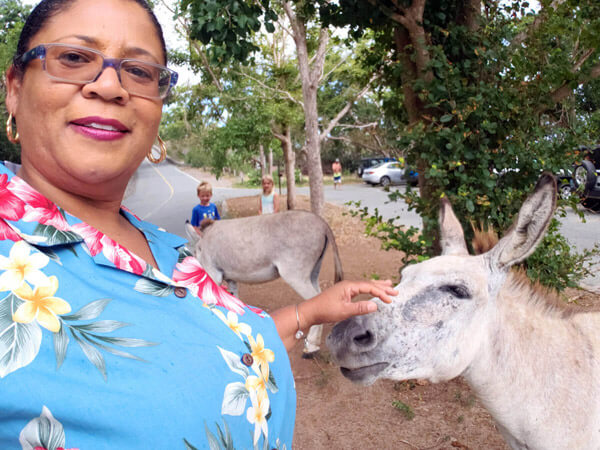 Kids Petting Donkeys